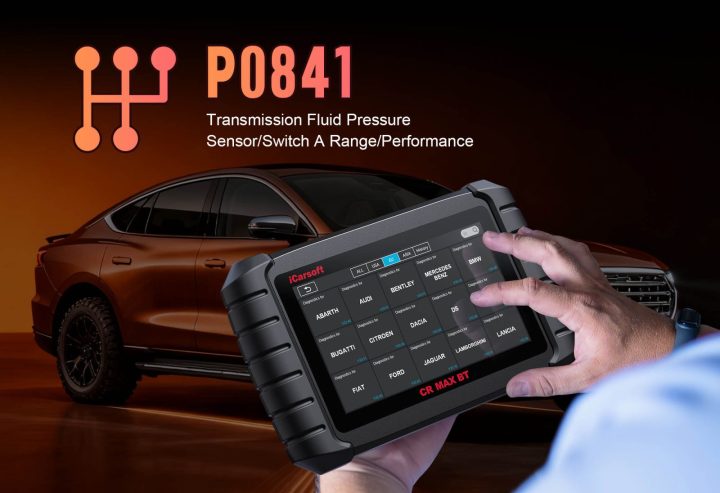 Diagnose &amp; Clear P0841
