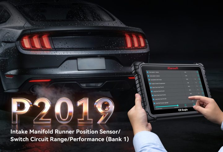 P2019 Fix